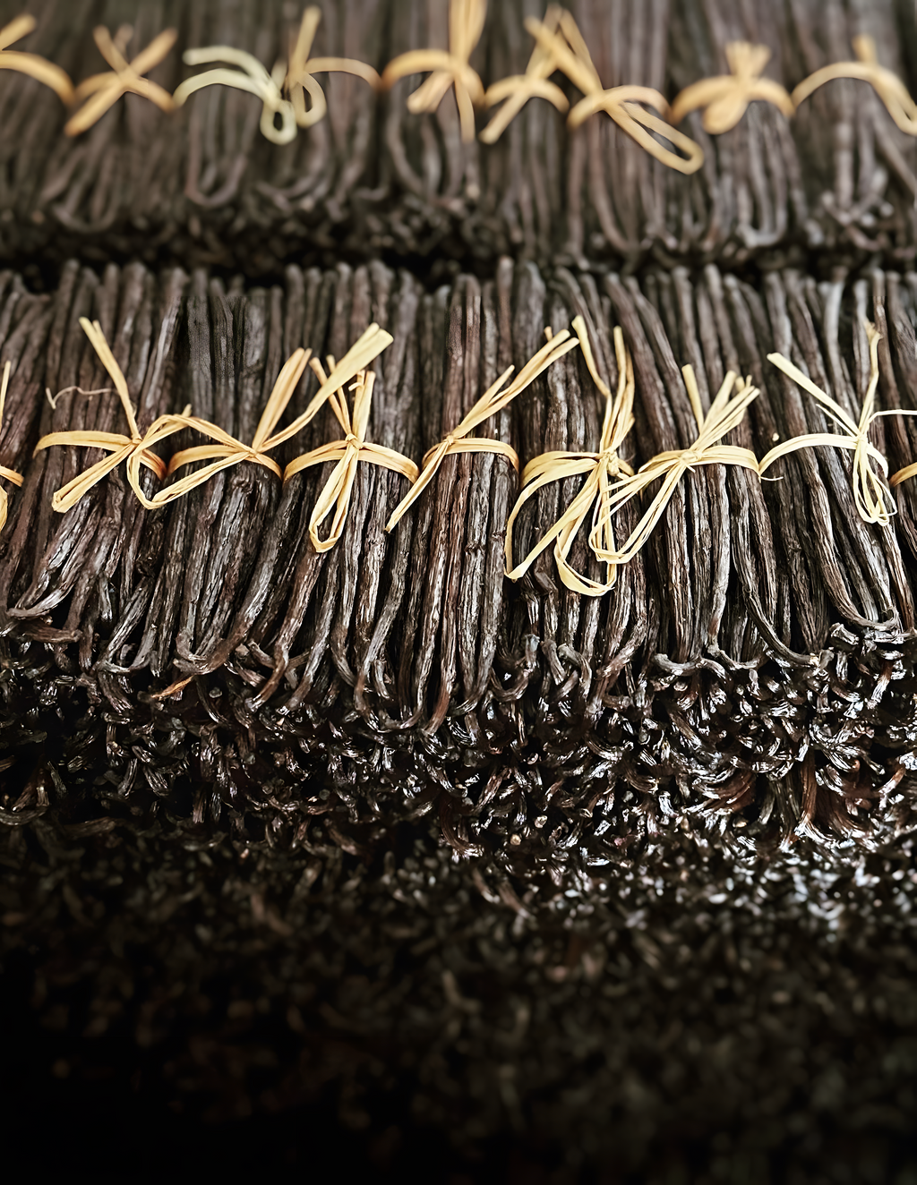 Grade A Vanilla Beans — Premium Gourmet Quality 100 Grams