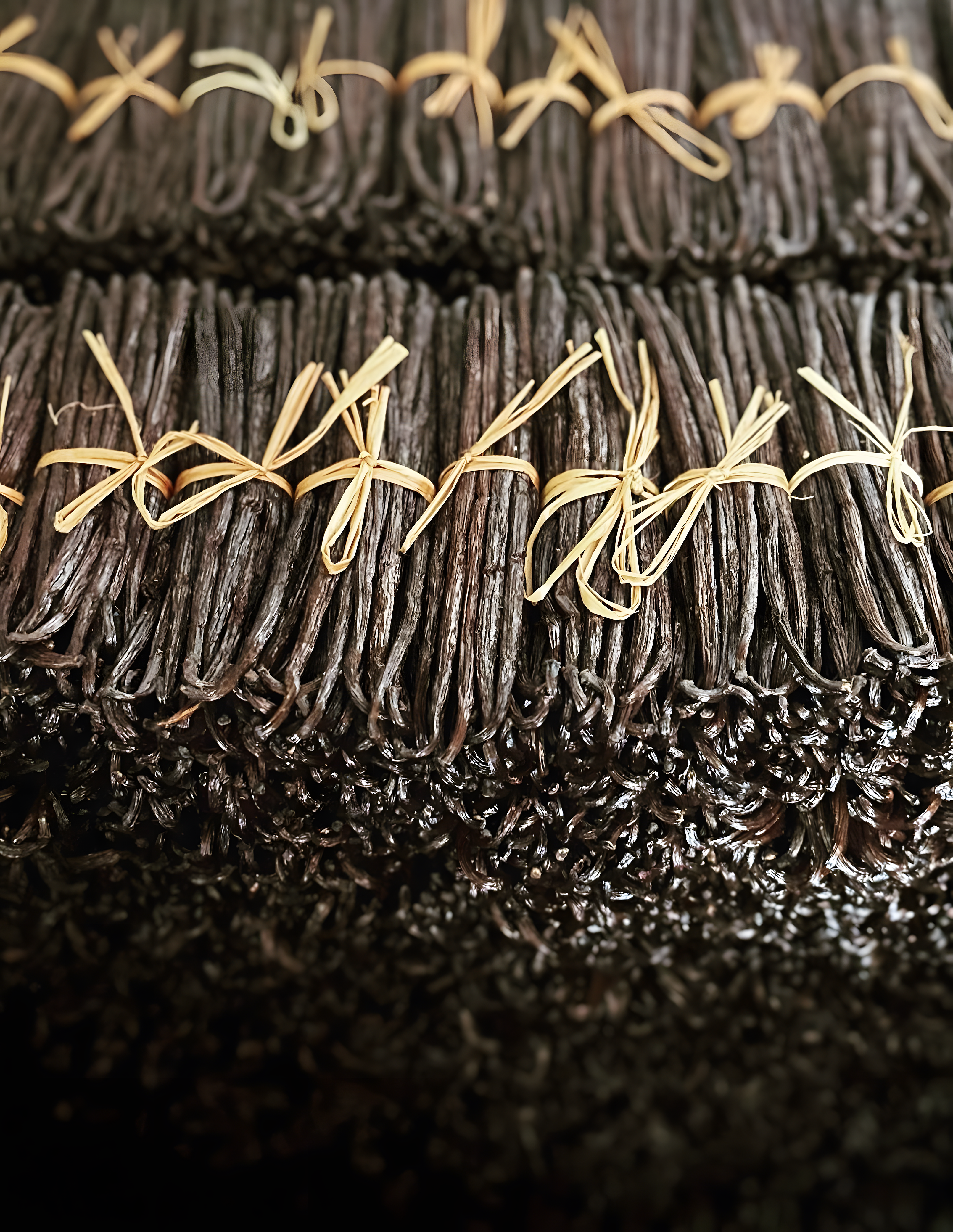 Grade A Vanilla Beans — Premium Gourmet Quality 100 Grams