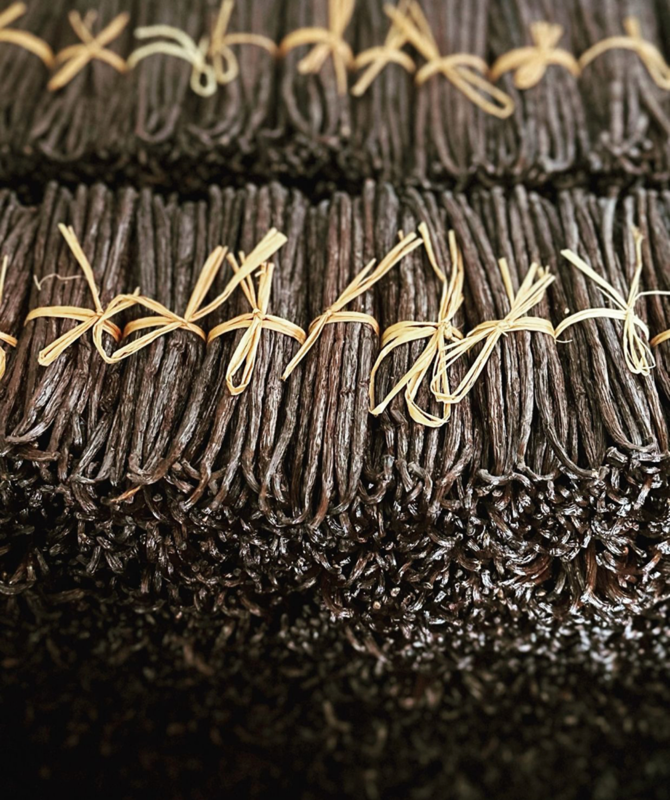 Grade A Vanilla Beans — Premium Gourmet Quality 100 Grams