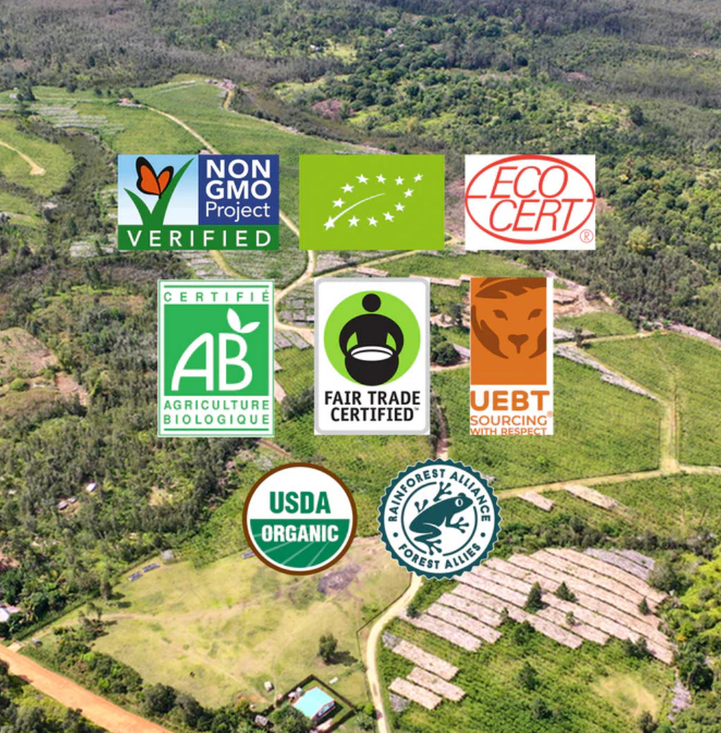 Grade A Vanilla Beans — Premium Gourmet Quality 100 Grams